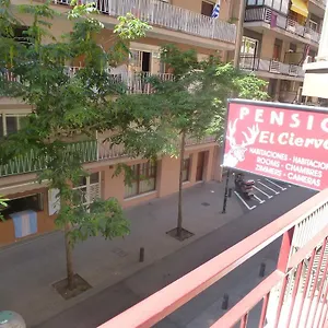 https://pension-el-ciervo.catalonia-hotels.com